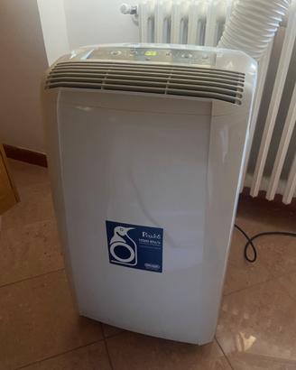 Pinguino de longhi