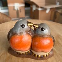 Thun Club Pettirossi