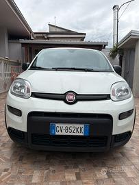 Fiat panda Hybrid van 4 posti originale