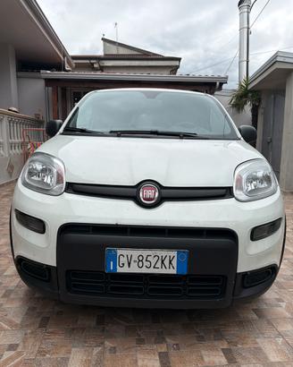 Fiat panda Hybrid van 4 posti originale
