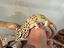Immagine 1