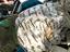 Immagine 22