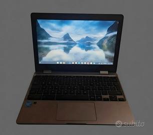 Pc portatile Asus 11 pollici