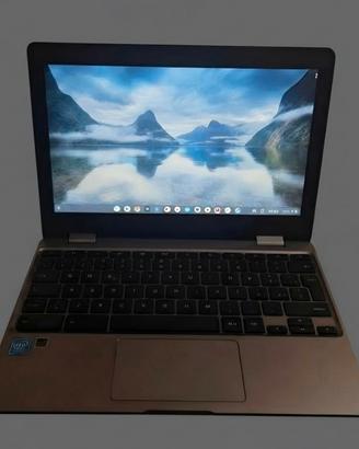 Pc portatile Asus 11 pollici
