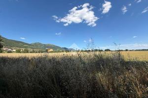 TER. AGRICOLO A GUBBIO