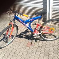 Bicicletta Mountain Bike