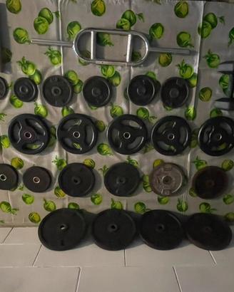 Attrezzatura palestra Domyos-105 kg pesi