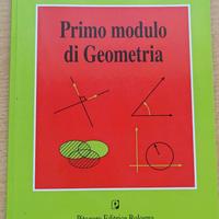 Primo modulo di Geometria – Cavicchioli, Spaggiari