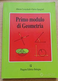 Primo modulo di Geometria – Cavicchioli, Spaggiari