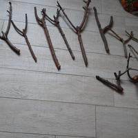 14 manici di legno per fionde!