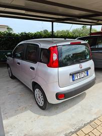 Panda benzina