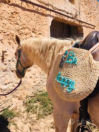 Casale e terreno / Stazzo Sardegna/Olmedo/Sassari