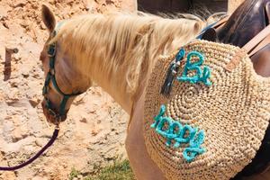 Casale e terreno / Stazzo Sardegna/Olmedo/Sassari