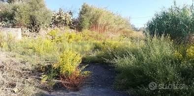Terreno con progetto approvato - Vista 2