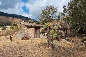 Terreno agricolo a san Giovanni gemini prov Agrige