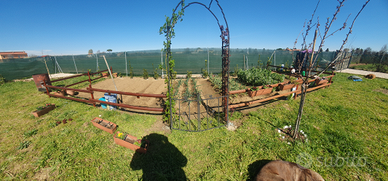 Lotti terreno agricolo