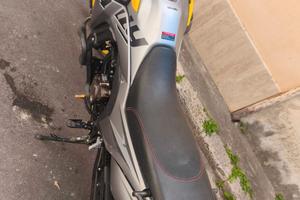 Voge 300 rally 2024