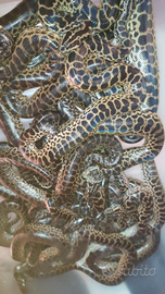 Baby Anaconde gialle