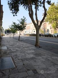 Panificio zona nord messina