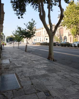 Panificio zona nord messina