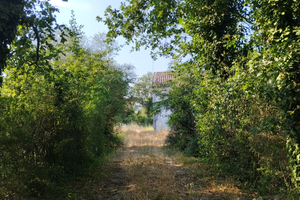 Casa in campagna a FOSSOMBRONE