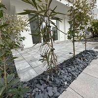 APPARTAMENTO CON GIARDINO