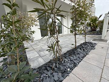 APPARTAMENTO CON GIARDINO