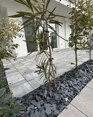 APPARTAMENTO CON GIARDINO