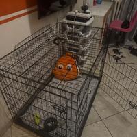 Gabbia Kennel nuovo!!