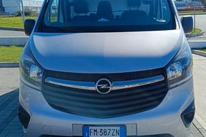 VIVARO 2018 BITURBO passo lungo uniproprietario