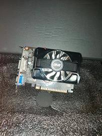 scheda video GTX 750 2gb Asus 