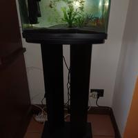ACQUARIO CON MOBILE