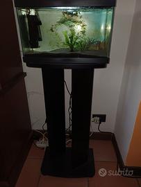 ACQUARIO CON MOBILE