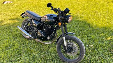 Mash 250 two fifty 2022