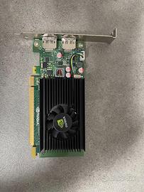 Scheda video NVidia NVS 310