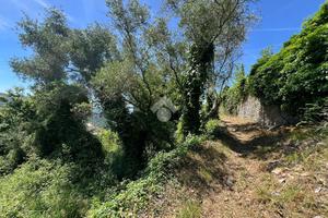 TER. AGRICOLO A LAVAGNA