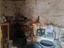 Immagine 29