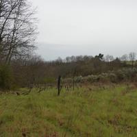 Terreno agricolo con vista sul lago di Bolsena