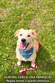 Aurora: salvata e pronta per una famiglia