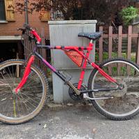 Bicicletta bianchi