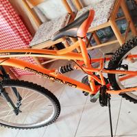Bicicletta