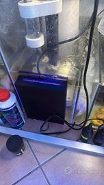 FILTRO AD ALGHE ATS MAGNETICO ACQUARIO 