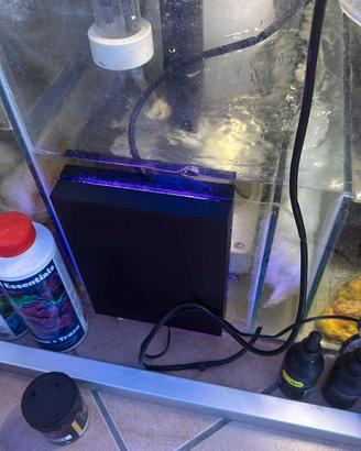 FILTRO AD ALGHE ATS MAGNETICO ACQUARIO 
