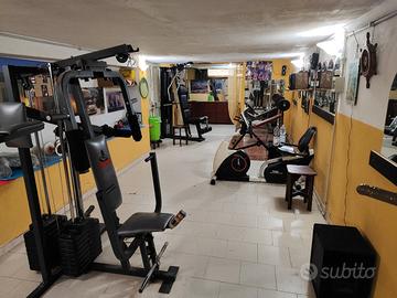 palestra  .completa 11 macchine 