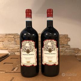 Magnum Valpolicella Ripasso Superiore DOC