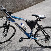 bicicletta  da  uomo