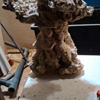 rocce acquario marino