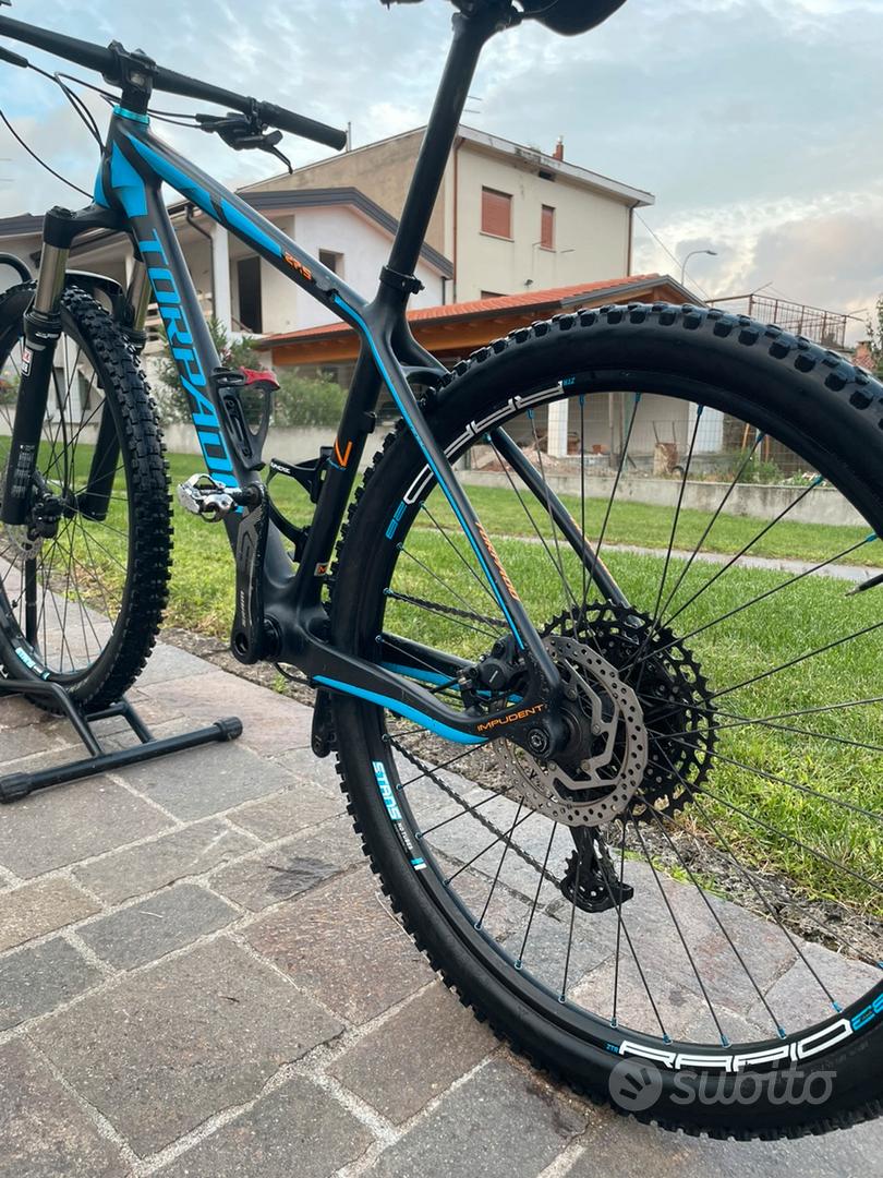 Bike Torpado Nearco Carbon Prezzo Torpado Nearco Fat Bike Torpado