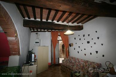 AP331 - Appartamento caratteristico con ingresso i