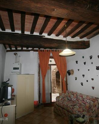 AP331 - Appartamento caratteristico con ingresso i